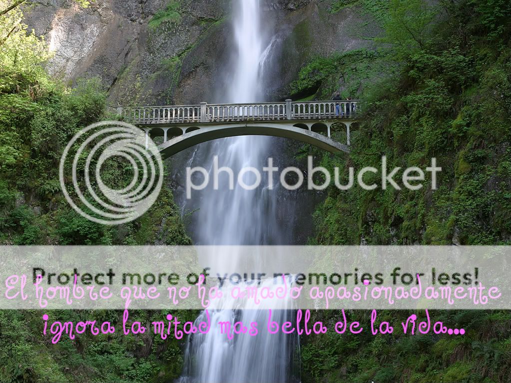 Frases De Amor Image - Frases De Amor Graphic Code