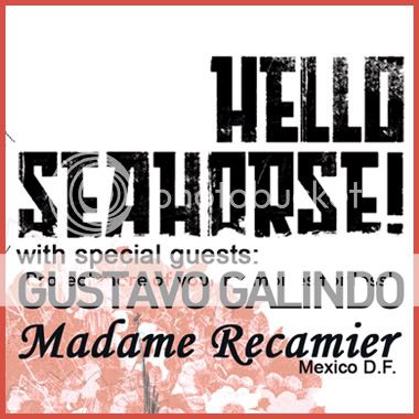 Hello Seahorse!