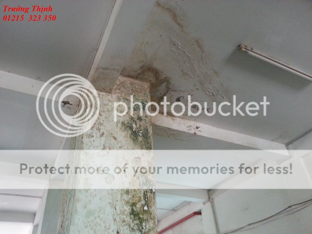 Dịch vụ chống thấm - sửa nhà AN TOÀN - TIN CẬY - 6