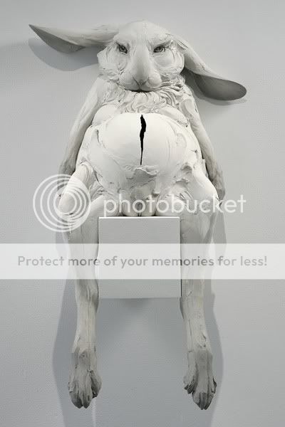 Photobucket Pictures, Images and Photos