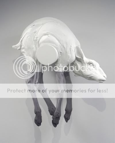 Photobucket Pictures, Images and Photos