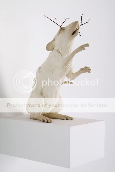 Photobucket Pictures, Images and Photos