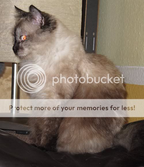 IMG0135.jpg