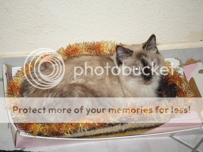 zzDSCF5045.jpg