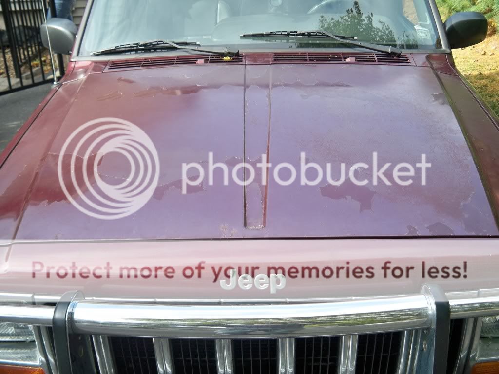 Painted and custom hoods