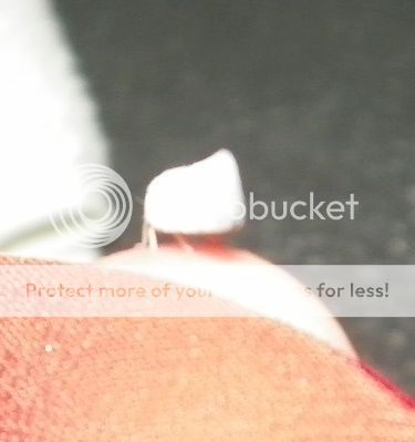  photo 100_1467_zps4c41dd2a.jpg