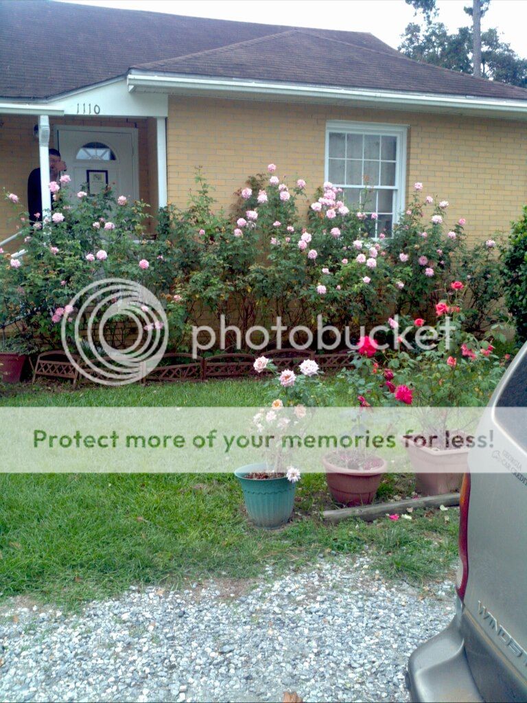 photo 472821_4636737556366_384063417_o_zps052443da.jpg